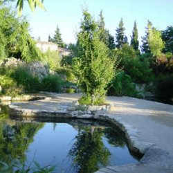 Le Jardin Aquatique « Aux fleurs de l'eau » de GRAVESON